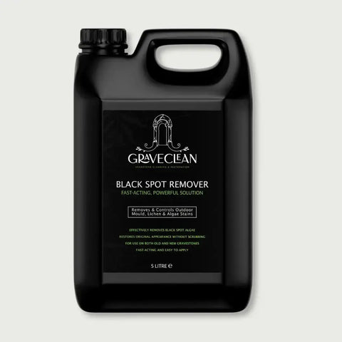 GraveClean™ Black Spot Remover for Headstones (Part 1) GraveClean | Headstone Cleaning & Restoration