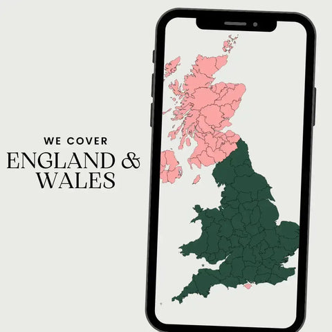 The Difference Between a Hobby Business and a Professional National Service